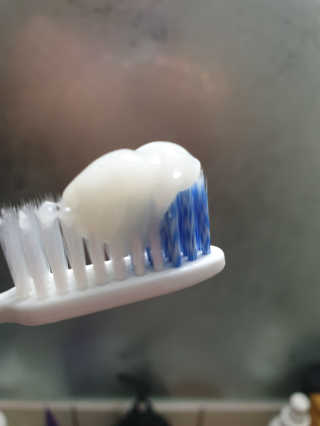 비니파파님이 올린 리뷰 사진 1