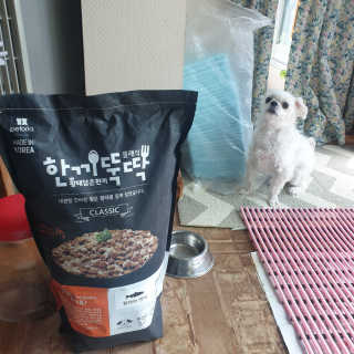 펫토리아 한끼뚝딱 클래식 강아지 건식사료 — 5점을 준 리뷰어가 2019년 4월 올린 사용 사진