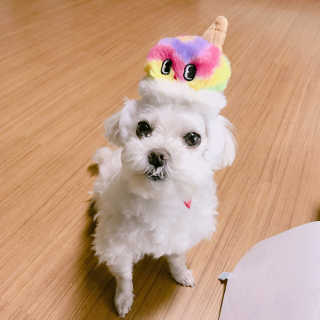 이소정님이 올린 리뷰 사진 2