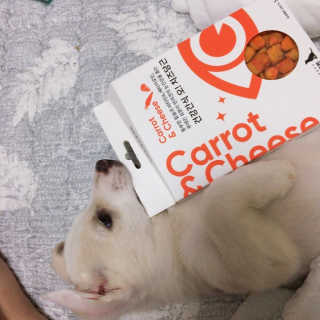 J님이 올린 리뷰 사진 2