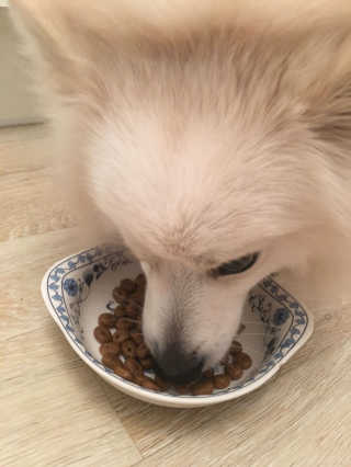 YoonAeTak님이 올린 리뷰 사진 4