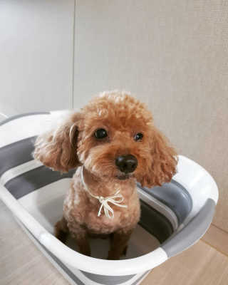 헌터님이 올린 리뷰 사진 2