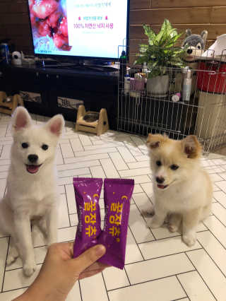 뷰기님이 올린 리뷰 사진 1
