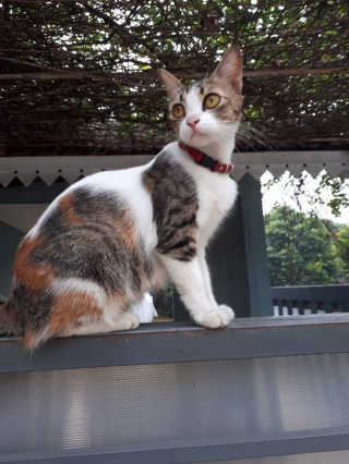 clarissa님이 올린 리뷰 사진 2