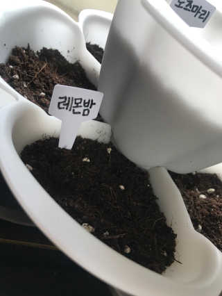 젌믠님이 올린 리뷰 사진 1