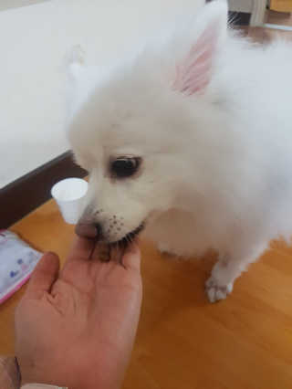 iy1129님이 올린 리뷰 사진 2