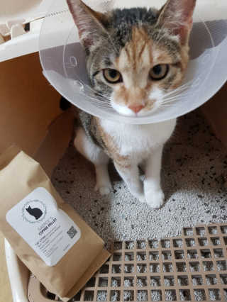 오기님이 올린 리뷰 사진 4