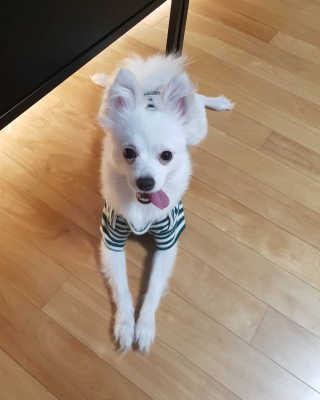 YouReena님이 올린 리뷰 사진 3
