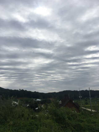 김정수님이 올린 리뷰 사진 1