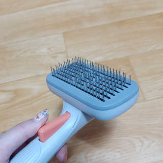 라온시연님이 올린 리뷰 사진 2