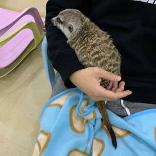 bee님이 올린 리뷰 사진 2
