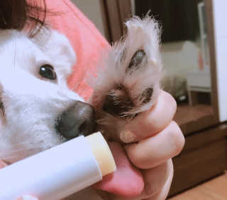 노콩님이 올린 리뷰 사진 3