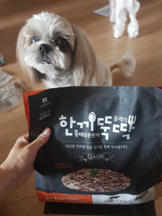 펫토리아 한끼뚝딱 클래식 국산 건식사료 — 4점을 준 리뷰어가 2019년 7월 올린 사용 사진