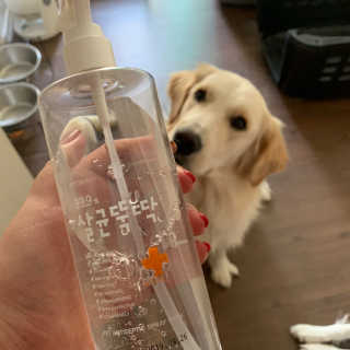 [펫토리아]살균뚝딱 강아지 고양이 살균소독제 탈취제 — 5점을 준 리뷰어가 2019년 10월 올린 사용 사진