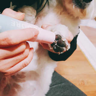 마시밀레 보드레밤 — 5점을 준 리뷰어가 2019년 1월 올린 사용 사진