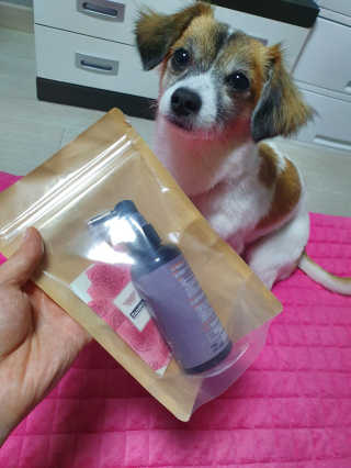 김미진님이 올린 리뷰 사진 1