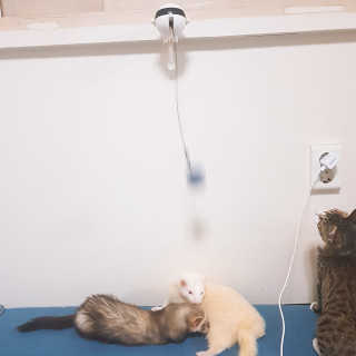 시나마나애영님이 올린 리뷰 사진 3