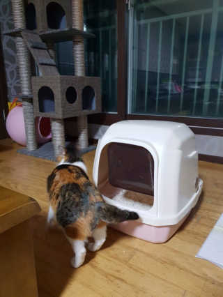 클랑유님이 올린 리뷰 사진 3