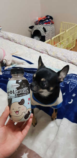 mie92님이 올린 리뷰 사진 1