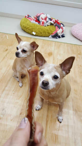유진오님이 올린 리뷰 사진 2