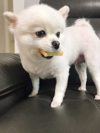 라움님이 올린 리뷰 사진 1