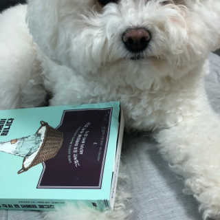 로다님이 올린 리뷰 사진 3