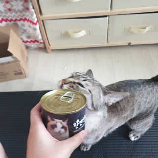 펫토리아 한캔뚝딱 best 강아지캔,고양이주식캔 — 5점을 준 리뷰어가 2019년 6월 올린 사용 사진
