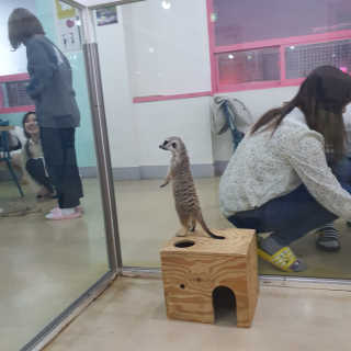 하경경경님이 올린 리뷰 사진 4