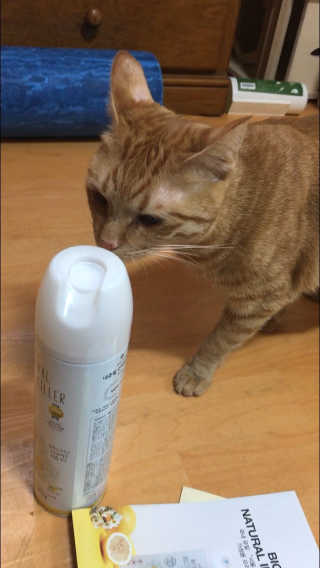 공시리님이 올린 리뷰 사진 3