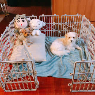 응D님이 올린 리뷰 사진 2