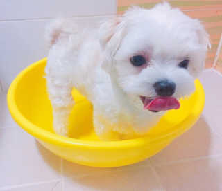 리니님이 올린 리뷰 사진 2