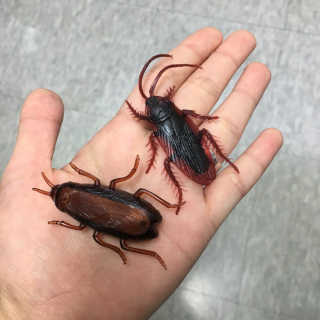 서영화님이 올린 리뷰 사진 1