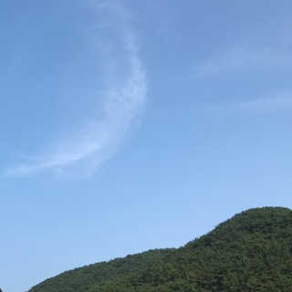 김혜원님이 올린 리뷰 사진 3
