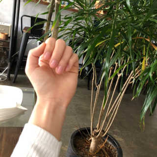 Luna님이 올린 리뷰 사진 2