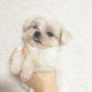 온달달님이 올린 리뷰 사진 1