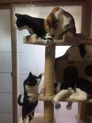 까꿍님이 올린 리뷰 사진 3