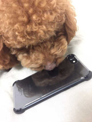 sol님이 올린 리뷰 사진 3
