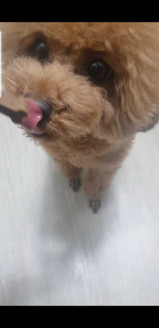 aks0225님이 올린 리뷰 사진 3