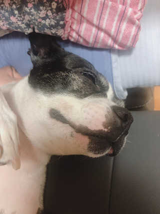 쥬녕님이 올린 리뷰 사진 4