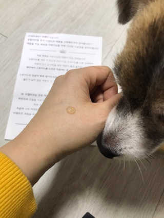 김미진님이 올린 리뷰 사진 3