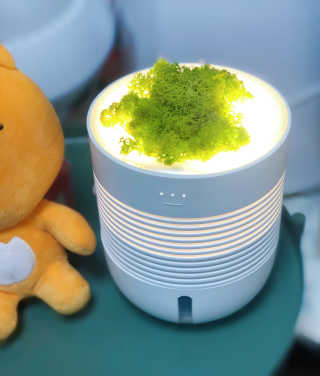 은봉이님이 올린 리뷰 사진 2