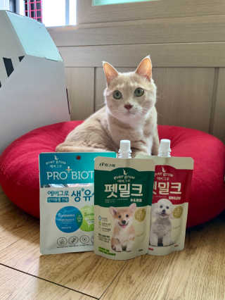 [빙그레] 에버그로 생유산균 1봉（10포입）+펫밀크2팩 — 4점을 준 리뷰어가 2019년 5월 올린 사용 사진