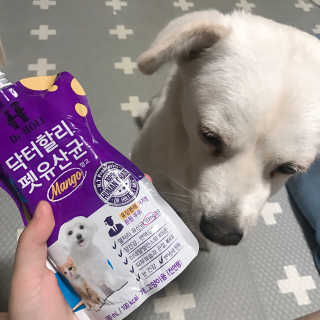닥터할리펫밀크 8종 — 5점을 준 리뷰어가 2019년 5월 올린 사용 사진