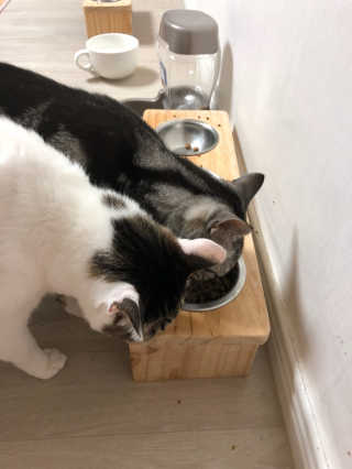 김소영님이 올린 리뷰 사진 3