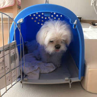 율리킴님이 올린 리뷰 사진 2