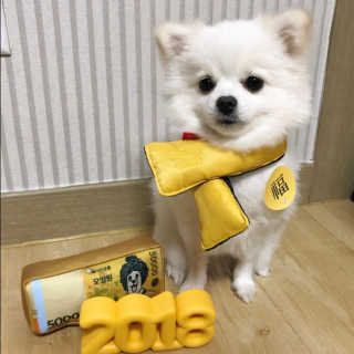 박수진님이 올린 리뷰 사진 1