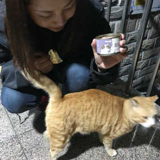 랑이맘님이 올린 리뷰 사진 3