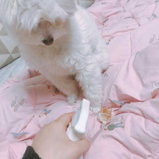 수톨님이 올린 리뷰 사진 4