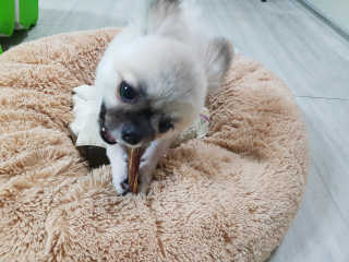 heeyaa88님이 올린 리뷰 사진 1
