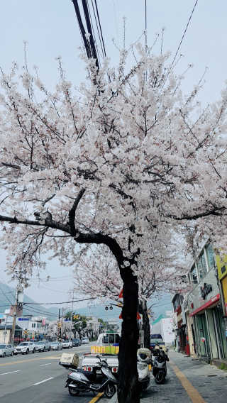 메디솔트 베이비스파 메디솔트 베이비 스파 — 1점을 준 리뷰어가 2019년 4월 올린 사용 사진